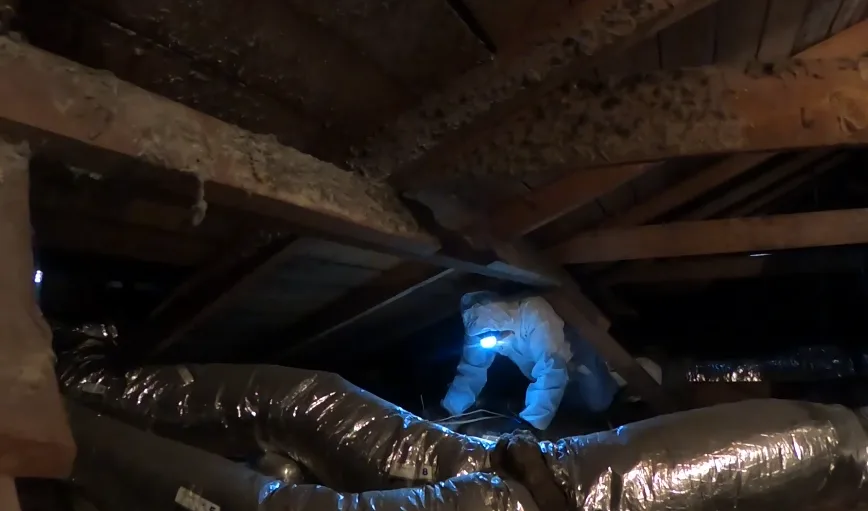 Working between attic joists and insulation with a light during an inspection