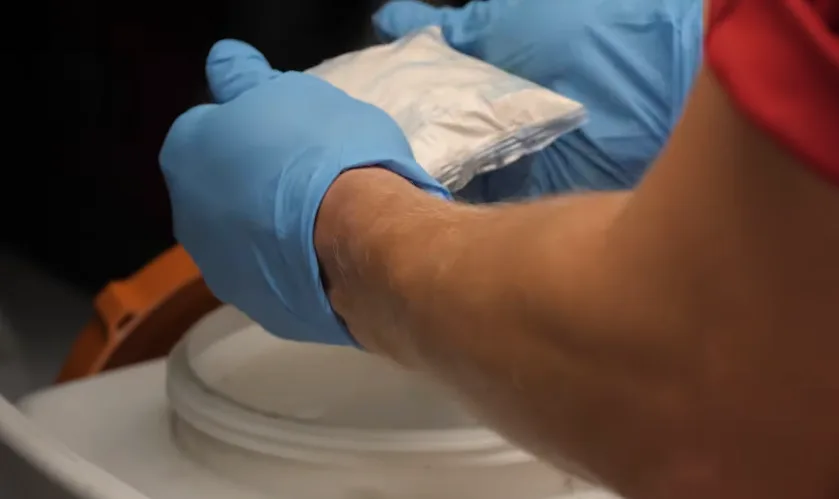 Gloved hands placing rodenticide bait blocks while servicing a station