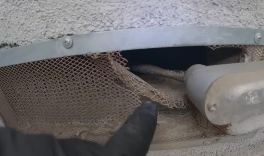 Close-up of a gloved hand at a mesh-screened vent opening