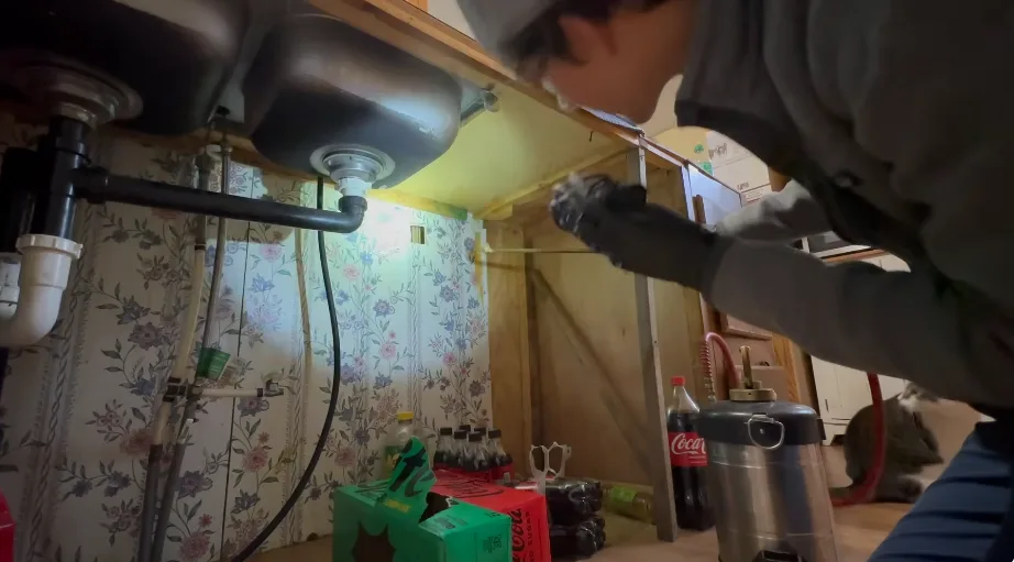 Pest control technician using a flashlight to inspect the cabinet void beneath a kitchen sink for rodent entry points