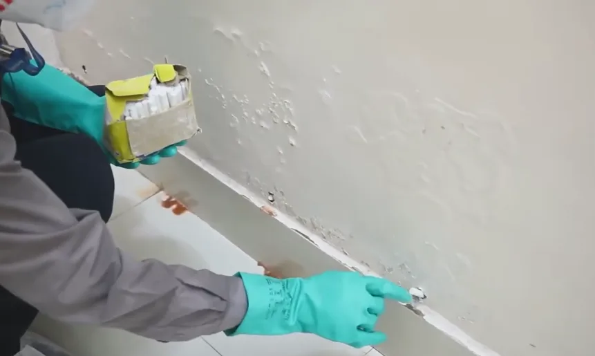 Gloved hands applying sealant along a cracked wall joint to close a rodent entry gap