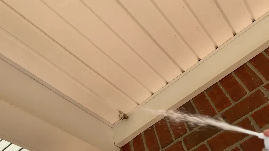 Spray directed along the underside of a soffit and eave