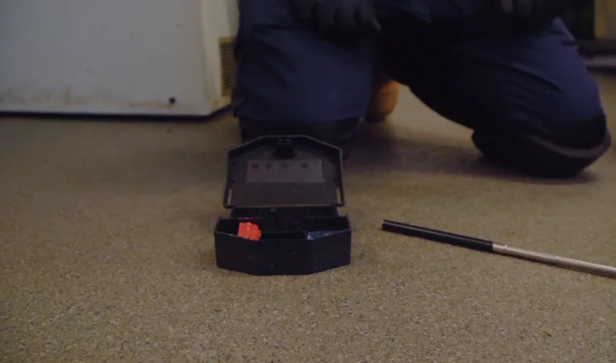 Black tamper-resistant rodent bait station positioned against an interior floor edge
