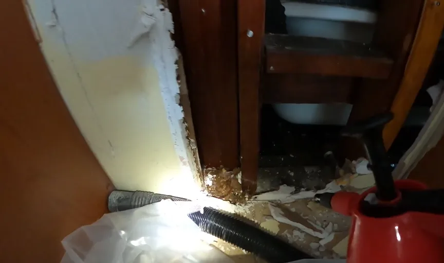 Technician opening a wall void beside a door frame with a light and hose to reach a rodent harbourage